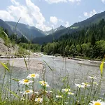 Hochalmbahnen 20w4, Eberesche, Nahe Gondel, Hunde Willkommen *