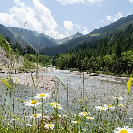 Hochalmbahnen 20w4, Eberesche, Nahe Gondel, Hunde Willkommen *